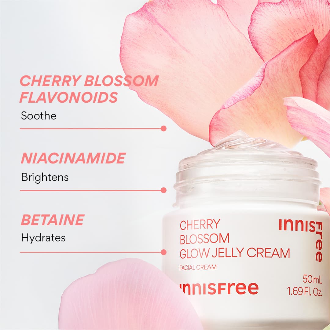 Innisfree Jejus Cherry Blossom Glow Jelly Cream Ultimate Moisturizer for Radiant Skin