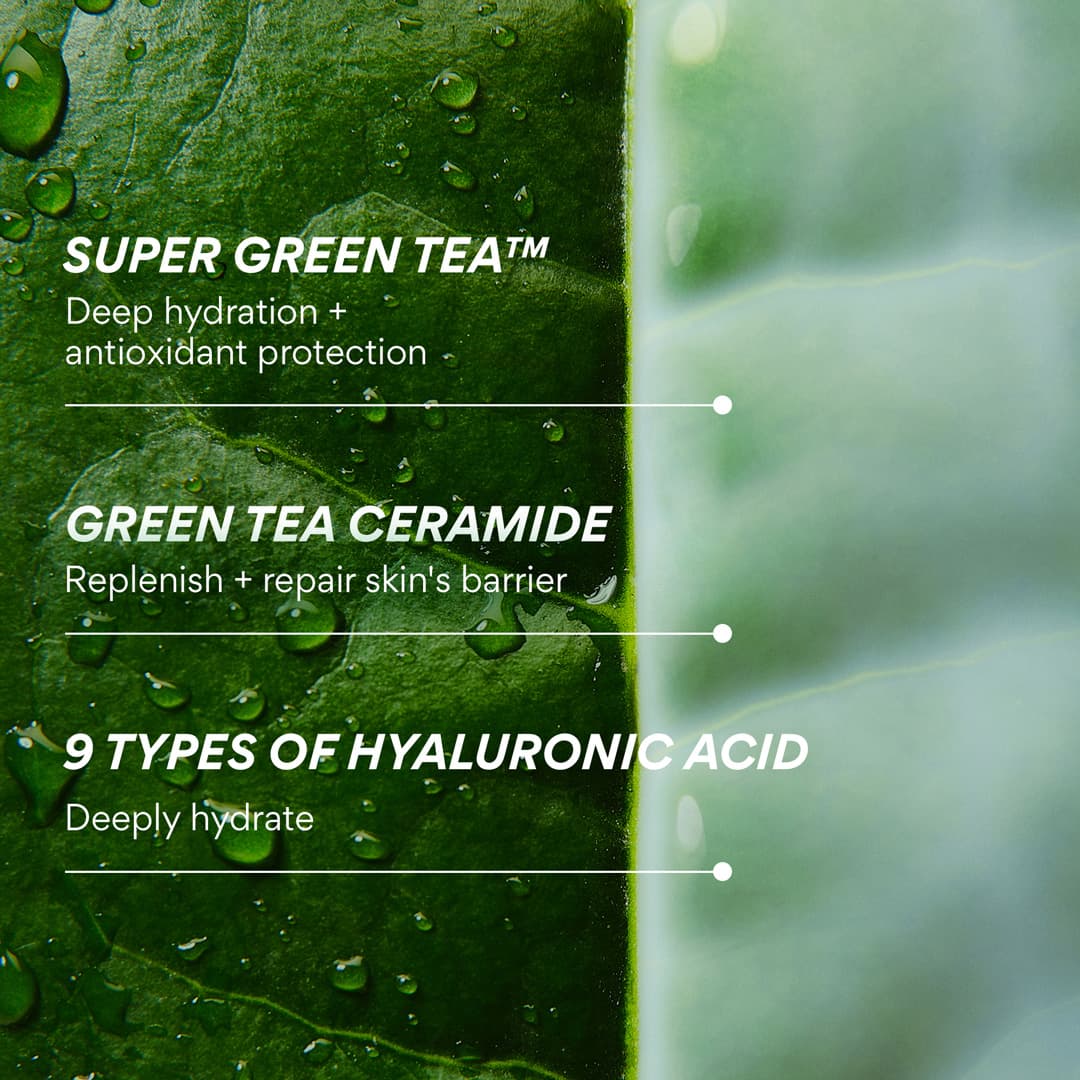 Innisfree Green Tea Ceramide Milk Toner